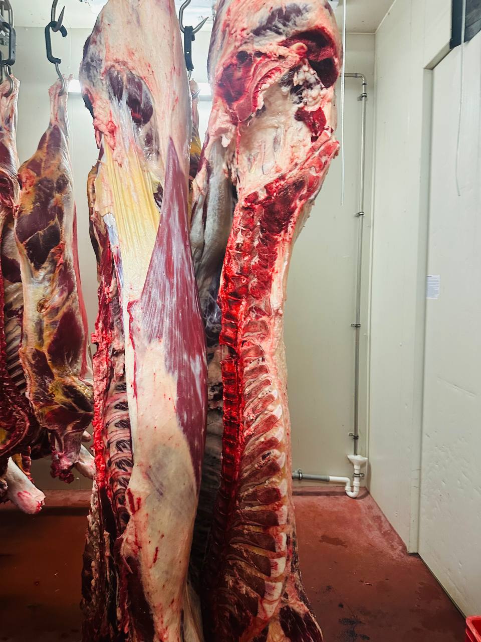 🔵#فروش
   🏙شهر: فرانکفورت ، آلمان
   توضیحات: با سلام شرکت عمده فروشی گوشت حلال گاوی فروش و تحویل عمده به مغازه ها و غیره :  مستقیم کشتارگاه و تحویل درب مغازه منطقه ماینهایم و هایدلبرگ و فرانکفورت با قیمت های عمده عالی اطلاعات بیشتر پیام لطفا

   👤 ارتباط با شخص |
@hamshahri_alman
صفحه پذیرنده و کاربر آگهی 